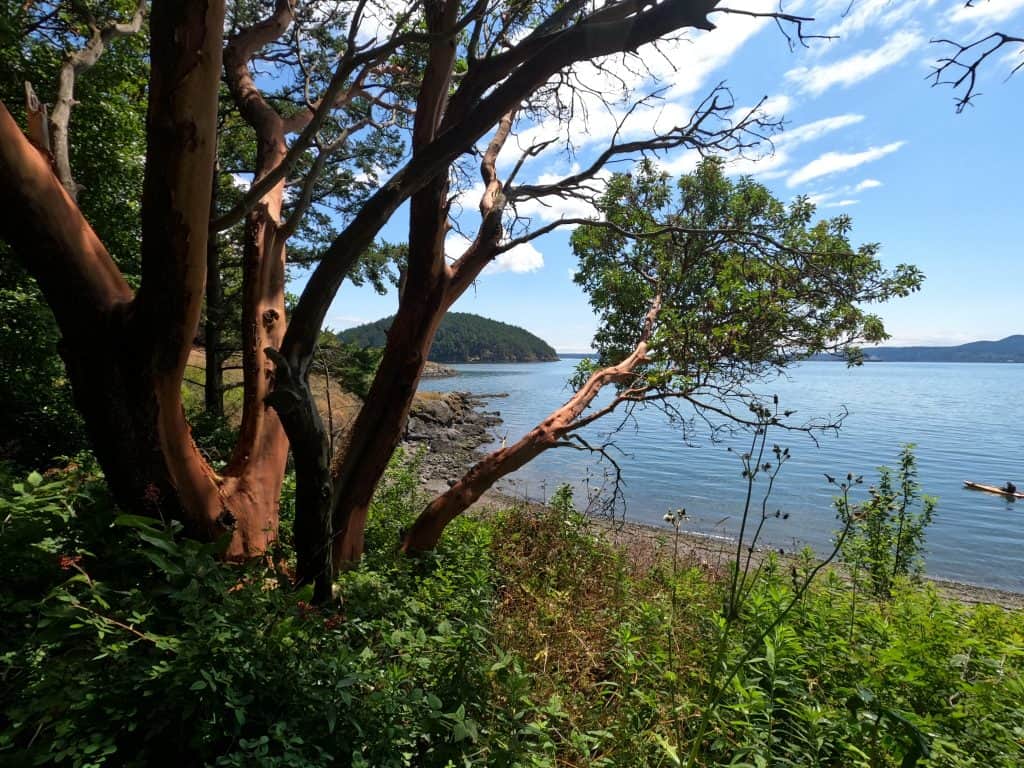 Saddlebag Island State Park
