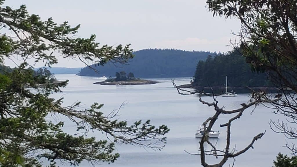 Stuart Island day 2