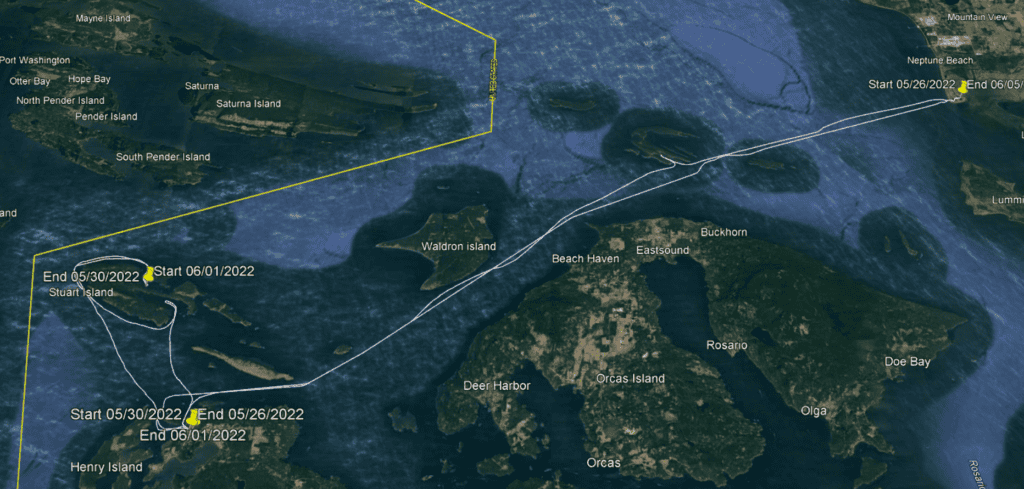 Home after 11 days on the water