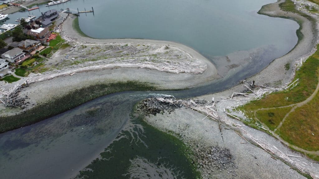 Sandy Point Harbor Entrance on a low tide