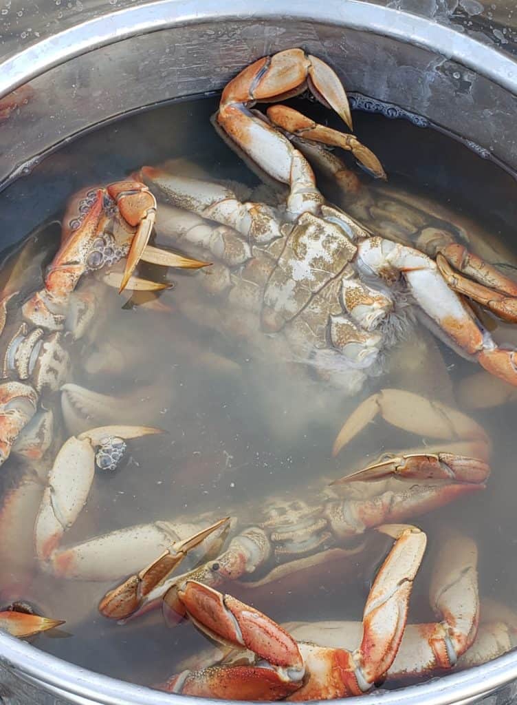 Crab run
