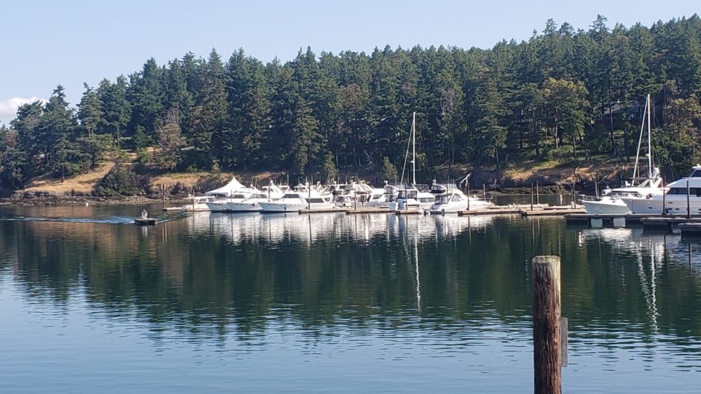 Bayliner Rendezvous Day 2