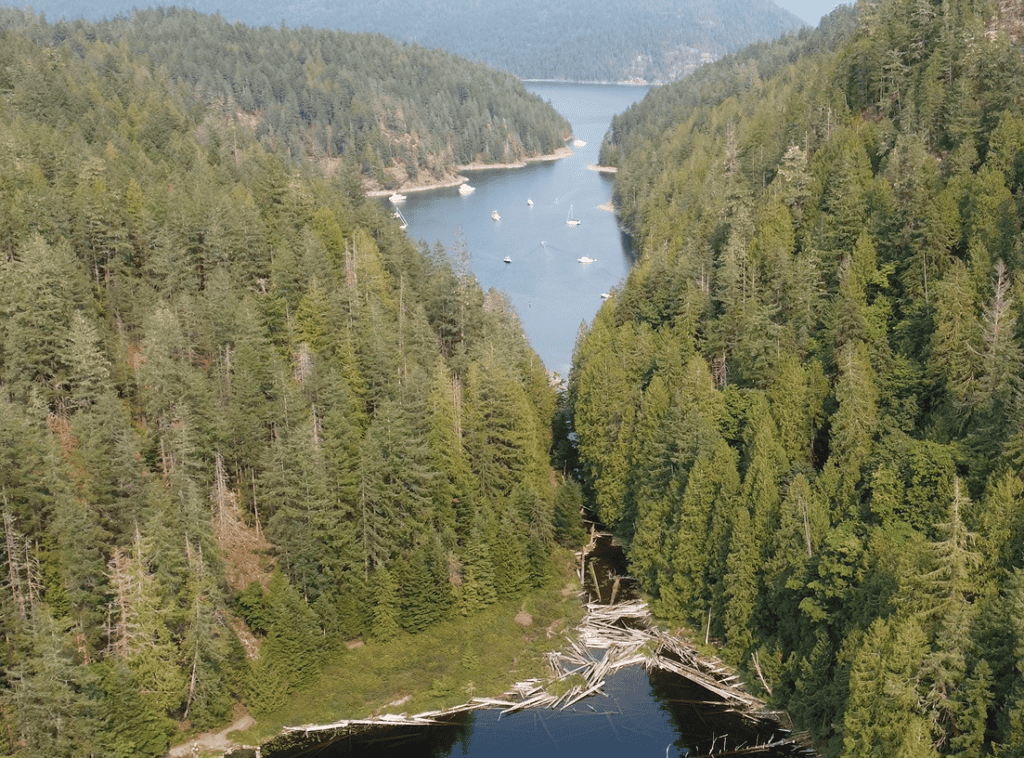 Roscoe Bay