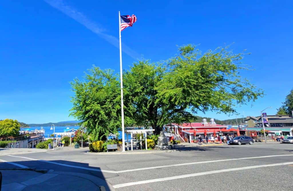 san juan yacht club friday harbor