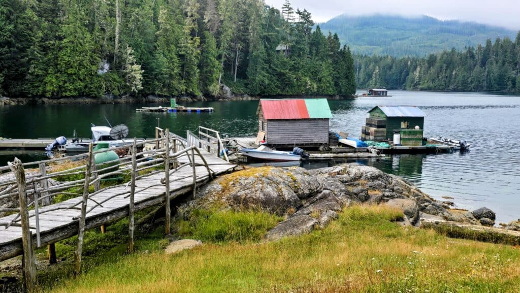 Exploring Echo Bay: A Stroll to Billy’s Museum