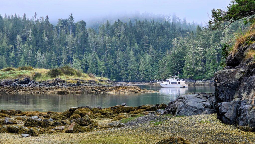Navigating Through the Fog: Waddington Bay to Mound Island