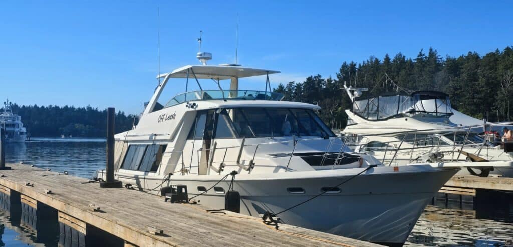 Shake down cruise 2026